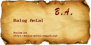 Balog Antal névjegykártya